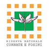 Riserva Naturale Cornate – Fosini