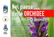2016 06 05 paese orchidee